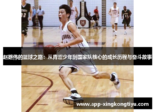 赵继伟的篮球之路：从青涩少年到国家队核心的成长历程与奋斗故事
